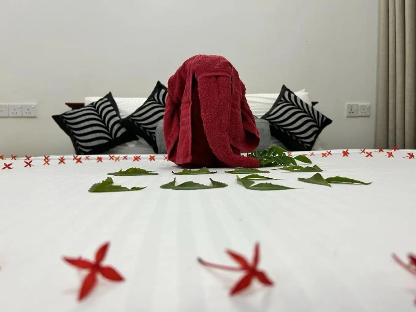 Bed & Breakfast J&J Resort Habarana